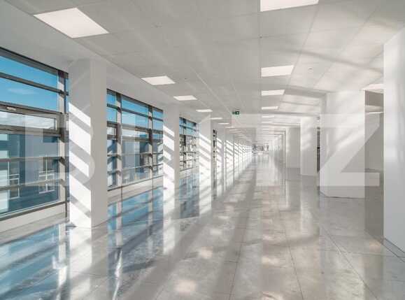 Spațiu birouri de închiriat Grigorescu - 21325SIB | BLITZ Cluj-Napoca | Poza2