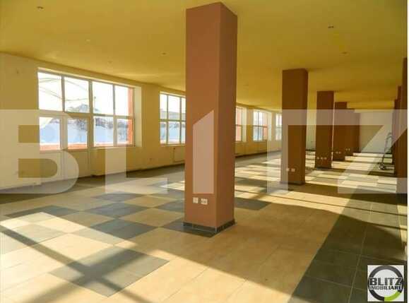 Spațiu birouri de închiriat Marasti - 21331SIB | BLITZ Cluj-Napoca | Poza2