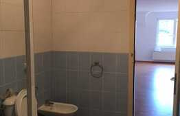 Casa individuala, 350 mp, 10 parcari, pretabil firma IT!