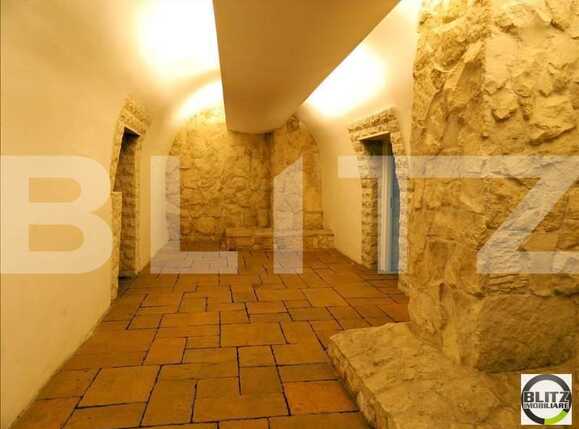 Spațiu comercial de închiriat Central - 21368SIC | BLITZ Cluj-Napoca | Poza1