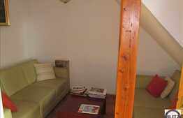 Spatiu comercial, zona strazii Avram Iancu, 65 mp