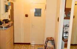 Vanzare apartament 3 camere in zona Septimiu Albinii, 67 mp