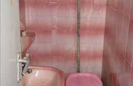 Necesita Renovare ! Vad Pietonal ! Trafic Auto !