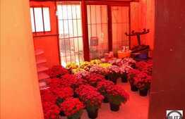 150 mp spatiu comercial situat in casa. Terasa de 200 mp !