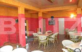 Afacere La Cheie !! PIZZERIE Functionala/Clientela Formata !