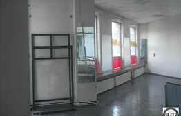 Magazin/Cabinet/Salon.