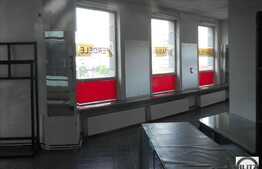 Magazin/Cabinet/Salon.