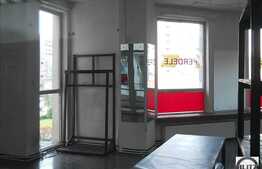 Magazin/Cabinet/Salon.