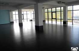 Spatiu pretabil pentru activitate comerciala sau de birouri !!!