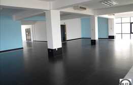 Spatiu pretabil pentru activitate comerciala sau de birouri !!!