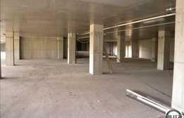 Spatiu Comercial 500 mp. Pentru Birouri, Centru SPA, Sala Fitness !