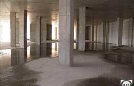 Spatiu Comercial 500 mp. Pentru Birouri, Centru SPA, Sala Fitness !