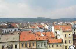 Vad GARANTAT ! Expunere Avantajoasa.