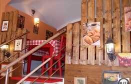 Artera Circulata Mult Pietonal , Vad Garantat, Pizzerie De Actualitate !!