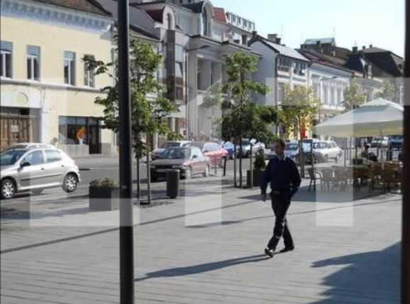 Spațiu comercial de închiriat Andrei Mureşanu - 21602SIC | BLITZ Cluj-Napoca | Poza4