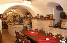 SPATIU GENEROS DEDICAT PENTRU:  Club , Restaurant, Pub, Crama !!!