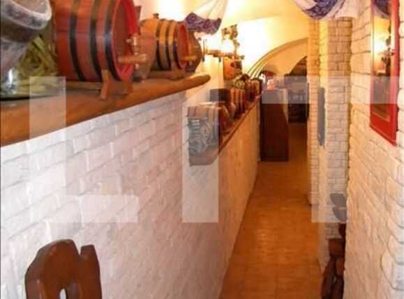 Spațiu comercial de închiriat Andrei Mureşanu - 21621SIC | BLITZ Cluj-Napoca | Poza6