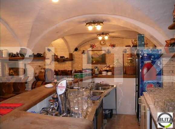 Spațiu comercial de închiriat Andrei Mureşanu - 21621SIC | BLITZ Cluj-Napoca | Poza2