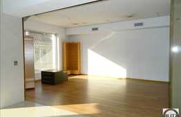 Spatiu comercial de inchiriat, 247 mp, zona cu vad