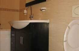 Spatiu comercial in Buna Ziua la artera principala.