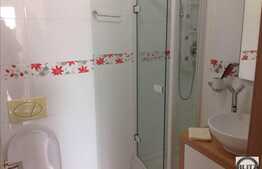 Spatiu comercial in Buna Ziua la artera principala.