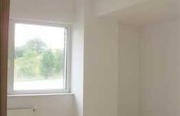 Spatiu comercial in Buna Ziua la artera principala.