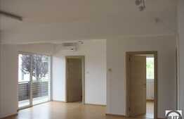 Spatiu comercial in Buna Ziua la artera principala.