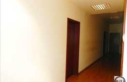 Spatiu comercial, 30 mp, 1 incapere, zona ultracentrala