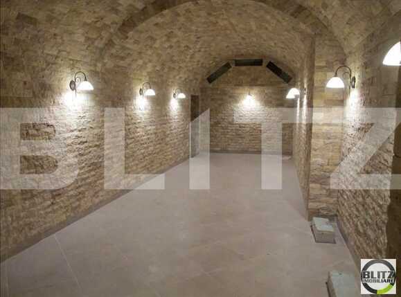 Spațiu comercial de închiriat Central - 21686SIC | BLITZ Cluj-Napoca | Poza1