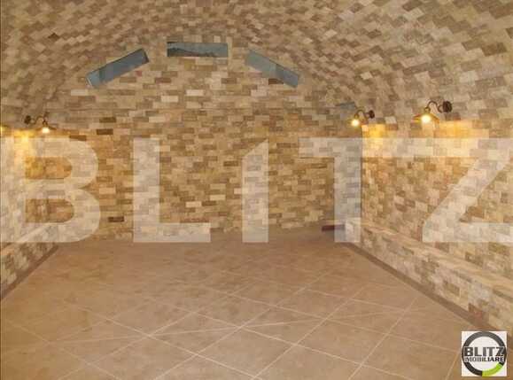 Spațiu comercial de închiriat Central - 21686SIC | BLITZ Cluj-Napoca | Poza4