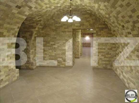 Spațiu comercial de închiriat Central - 21686SIC | BLITZ Cluj-Napoca | Poza2