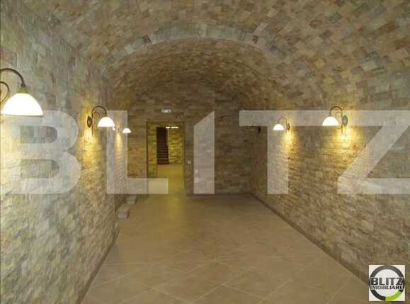 Spațiu comercial de închiriat Central - 21686SIC | BLITZ Cluj-Napoca | Poza6