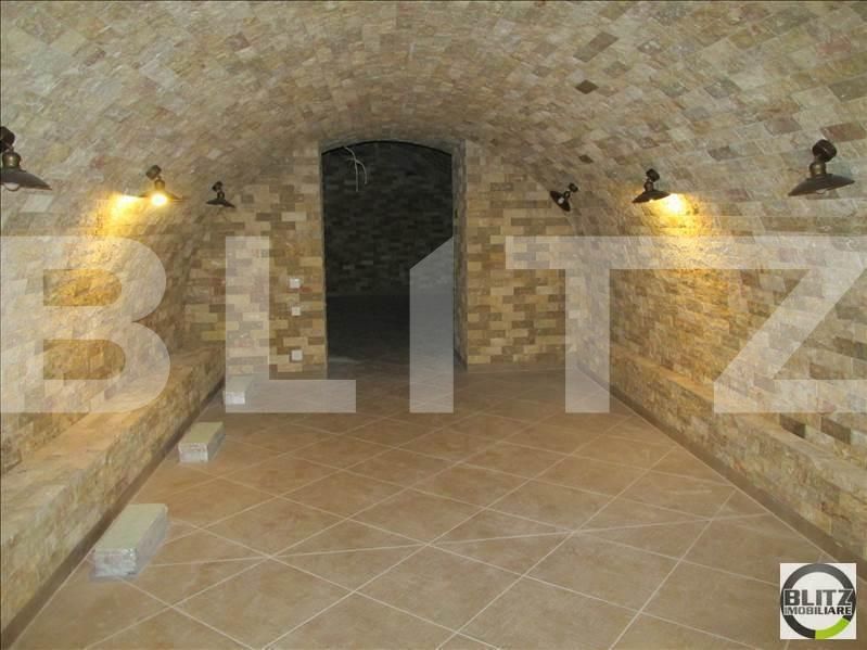 Spațiu comercial de închiriat Central - 21686SIC | BLITZ Cluj-Napoca | Poza3