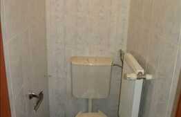 Potrivit Institutie Bancara ! VAD MAXIM. 110 mp. Artera Principala !