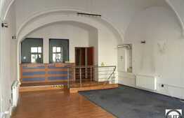 Potrivit Institutie Bancara ! VAD MAXIM. 110 mp. Artera Principala !