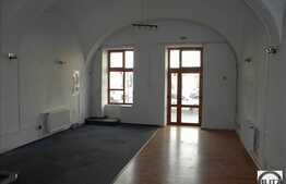 Potrivit Institutie Bancara ! VAD MAXIM. 110 mp. Artera Principala !