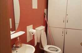 Spatiu comercial, vad excelent, zona Kaufland