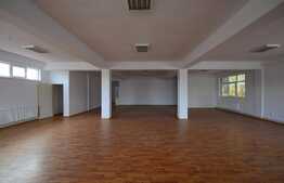 Spatiu pentru activitati de tip showroom