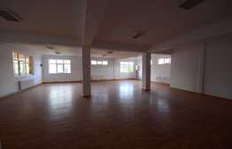 Spatiu pentru activitati de tip showroom