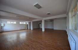 Spatiu pentru activitati de tip showroom