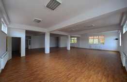 Spatiu pentru activitati de tip showroom