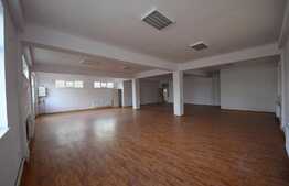 Spatiu pentru activitati de tip showroom