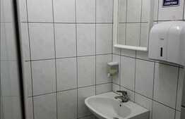 Spatiu comercial, zona centrala, vad bun