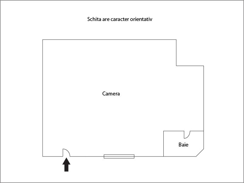 Spațiu comercial de vânzare Central - 21741SVC | BLITZ Cluj-Napoca | Poza1