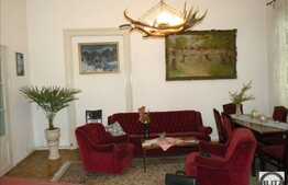 Vanzare spatiu comercial 507 mp cu 50 mp curte privata, Ultracentral