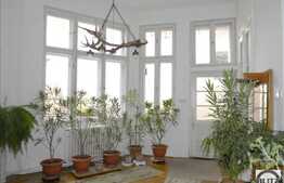 Vanzare spatiu comercial 507 mp cu 50 mp curte privata, Ultracentral