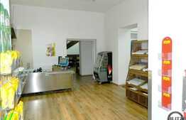 Casa pentru activitati comerciale, la artera principala, 300 mp utili, D+P+M