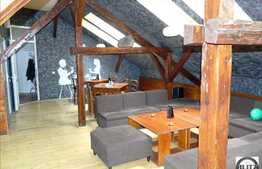 Casa pentru activitati comerciale, la artera principala, 300 mp utili, D+P+M