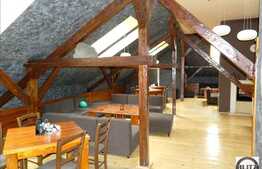 Casa pentru activitati comerciale, la artera principala, 300 mp utili, D+P+M