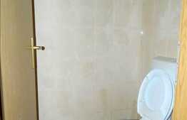 260 mp ideal pentru un show-room in zona Piata Mihai Viteazul